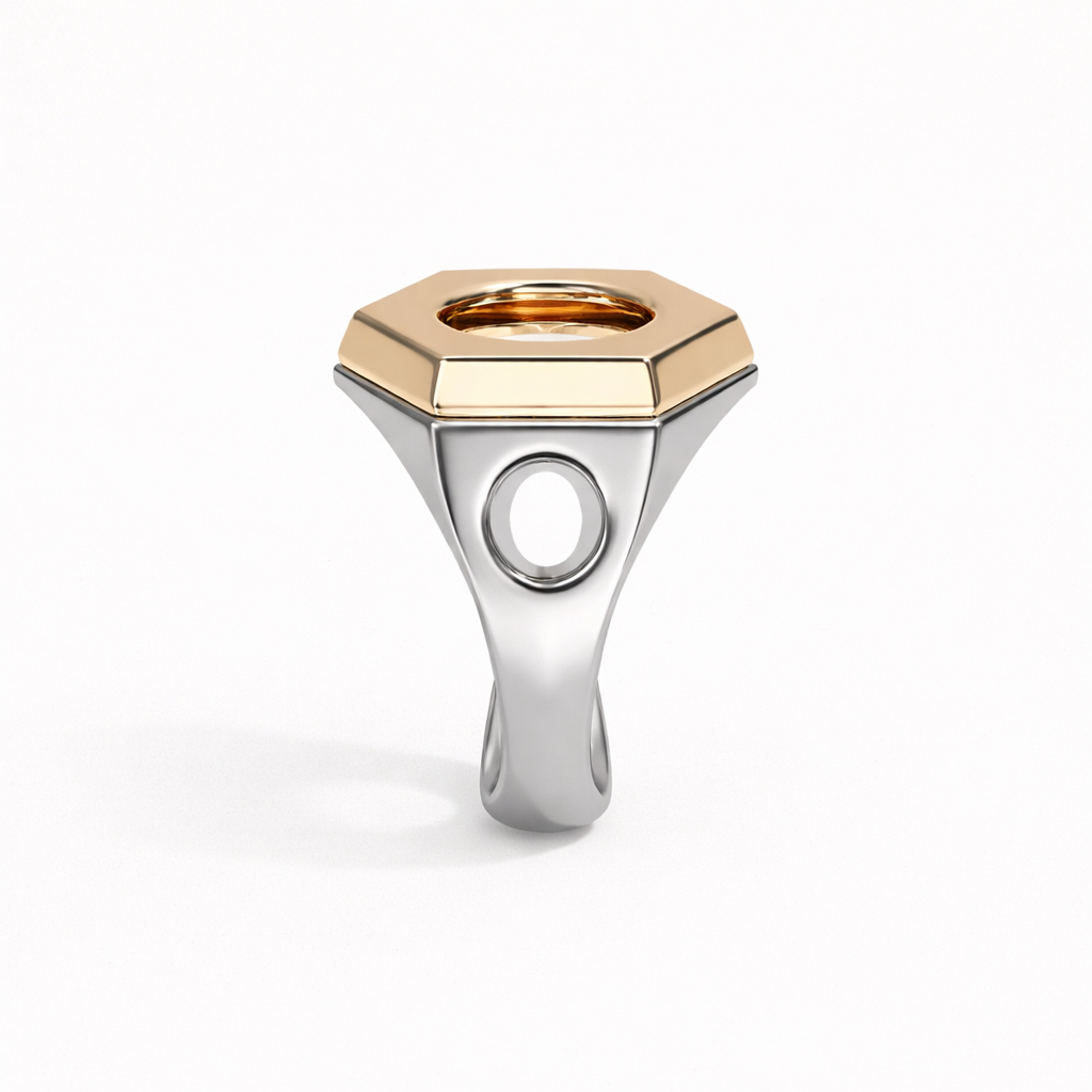 PARAGON VOID RING