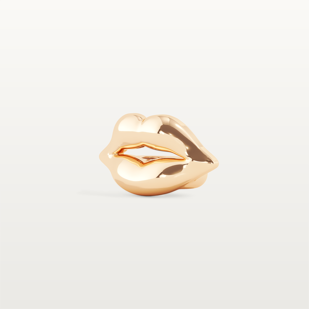 V-ZONE ICON