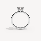 004) ORRIELLE 92-2,5. 6 klo 0,75 | White Gold | View 2
